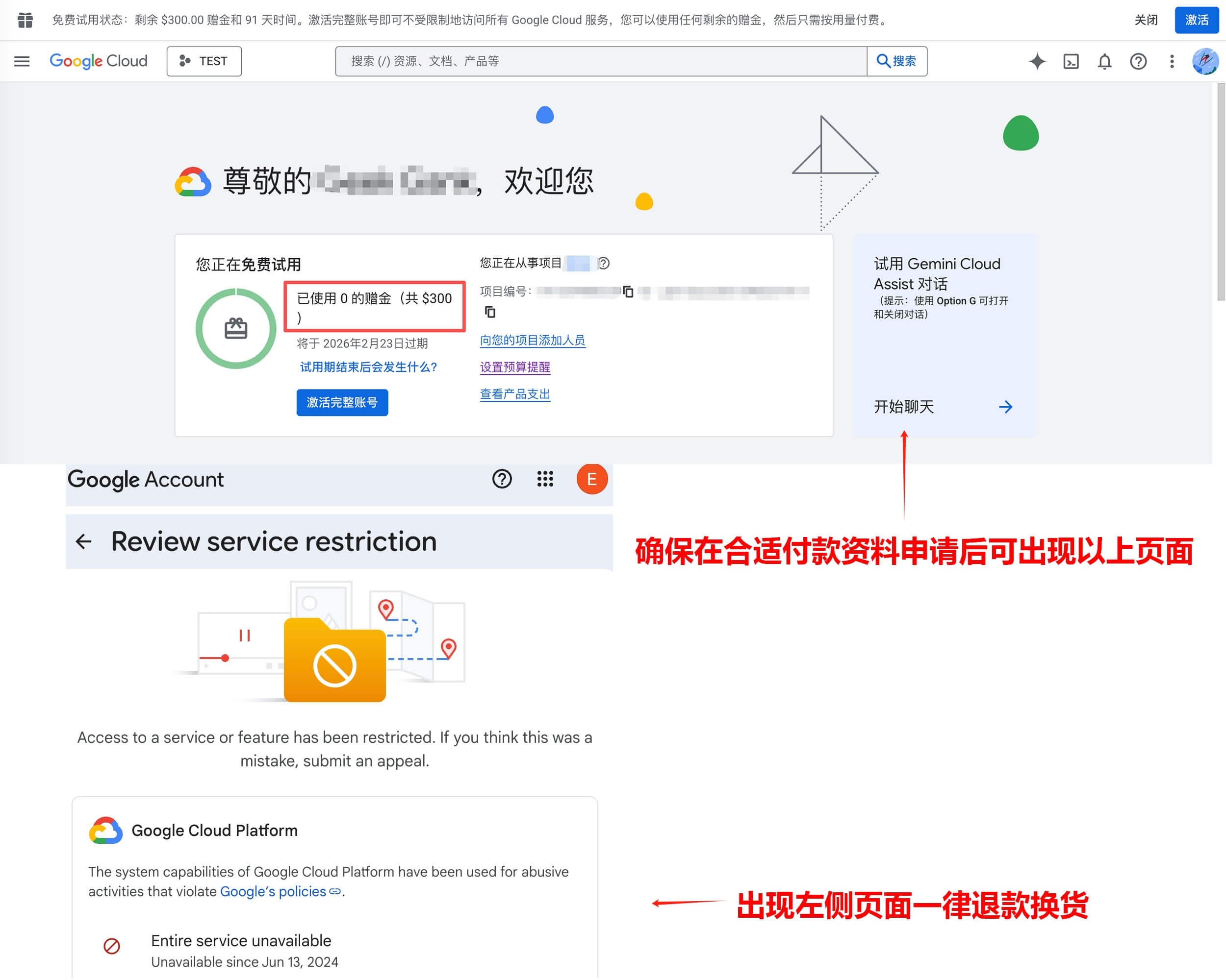 Google Gemini GCP 300USD